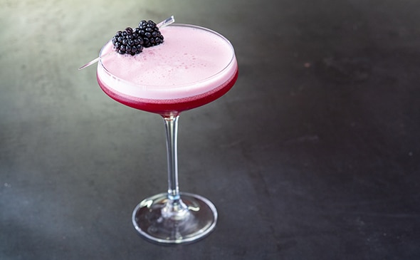 JENN'S BLACKBERRY RICKEY