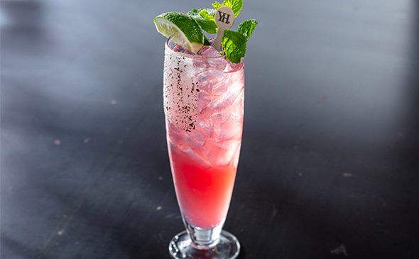 HIBISCUS MULE'ISH